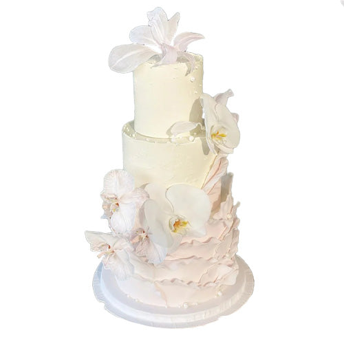 My Greatest Adventure