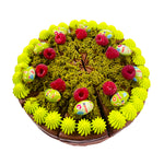 Dubai Chocolate Pistachio Cake