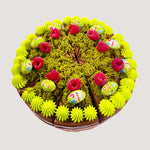 Dubai Chocolate Pistachio Cake