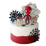 Cute Spider Boy