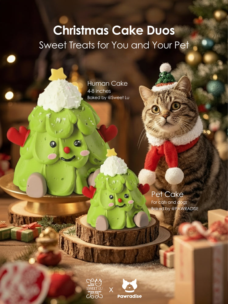 Santa Paws Festival -For you and your pet